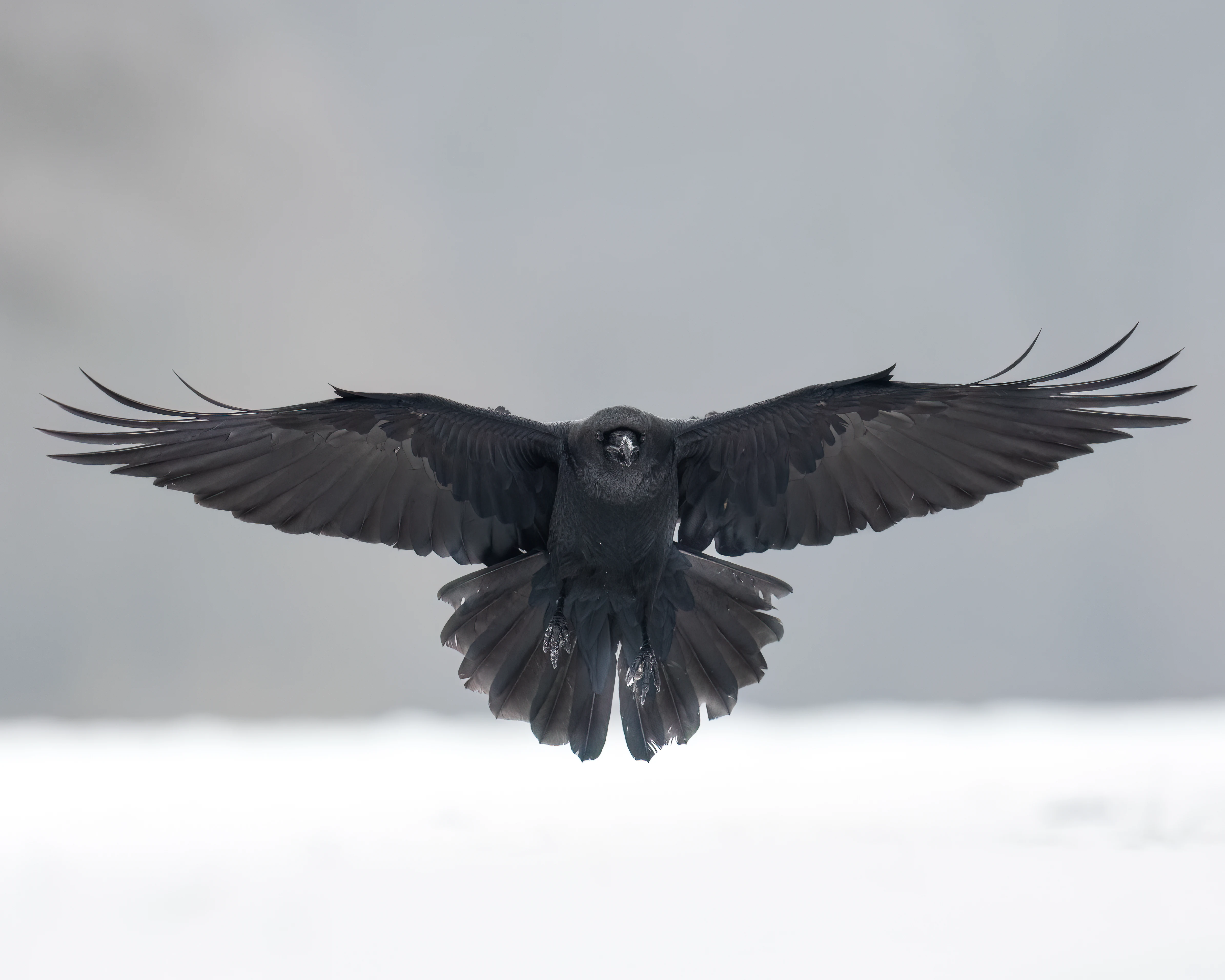 Instagram Post Placeholder